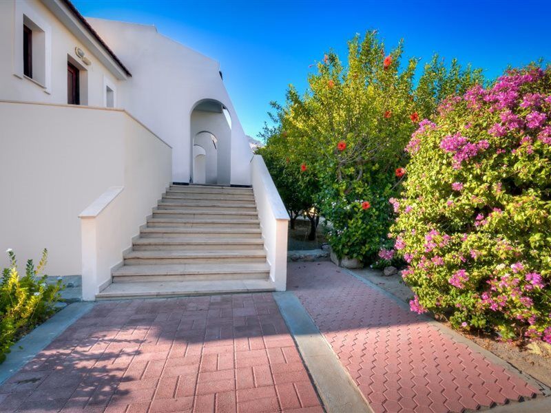 Pefkos Lemon Tree * Pefki